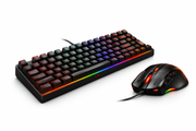 RGB Gaming Desk Setup